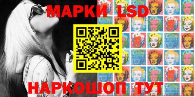 тгк Новодвинск