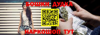 тгк Новодвинск