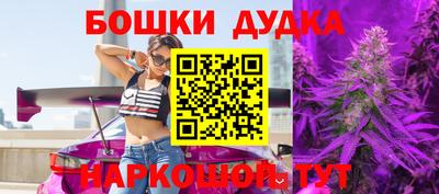 тгк Новодвинск