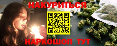 тгк Новодвинск