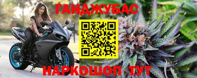 тгк Новодвинск
