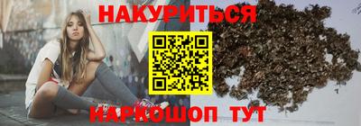 тгк Новодвинск