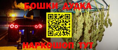 тгк Новодвинск